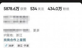 蔡老板爆料保时捷视频,保时捷视频背后的惊人真相！”